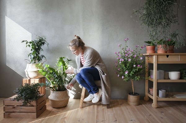 Les bienfaits de la nature en appartement : découvrez comment aménager un espace vert intérieur !