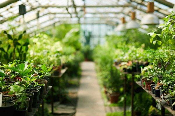 Comment choisir son tunnel de stockage ?