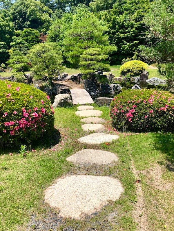 Comment créer un jardin de rocailles pour apporter une touche de rusticité à votre espace extérieur