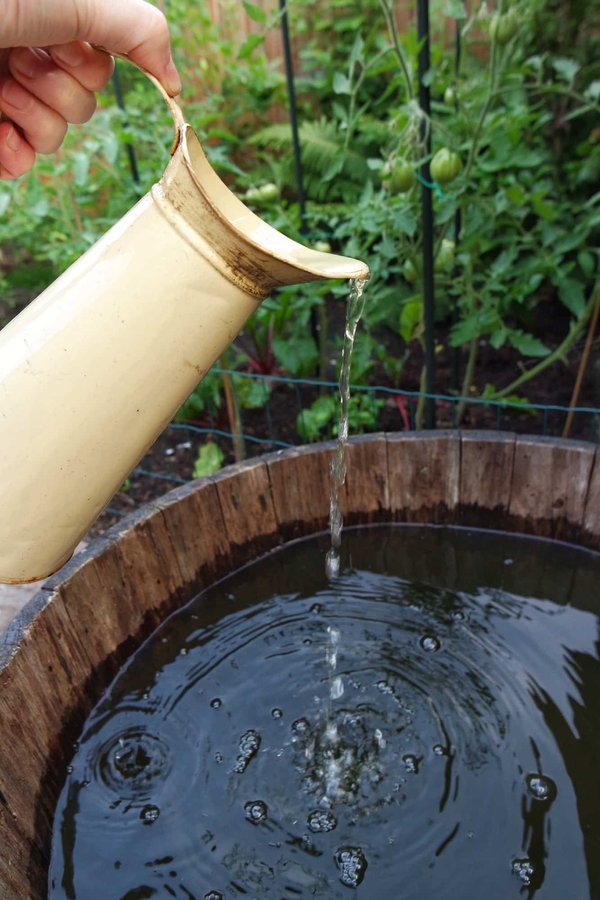 Récupérateur d’eau de pluie : que devez-vous savoir ?