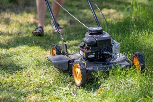 Quel robot tondeuse pas cher : les meilleurs modèles sur le marché